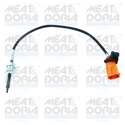 Sensor, exhaust gas temperature